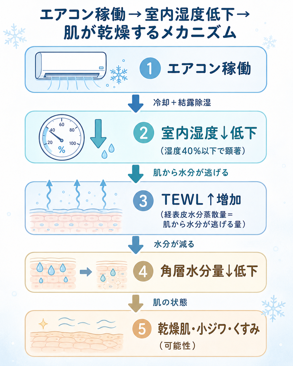 エアコン稼働→室内湿度低下→TEWL増加→角層水分量低下→乾燥肌のフロー図