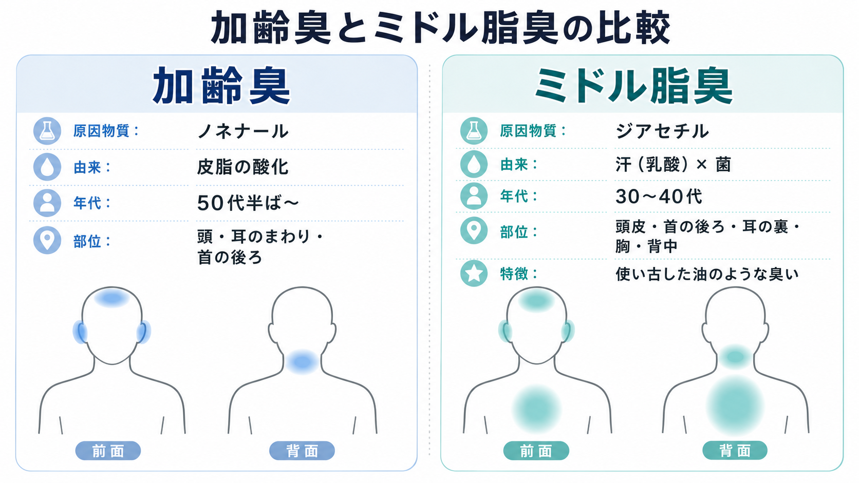 加齢臭とミドル脂臭の比較。加齢臭=ノネナール・皮脂の酸化・50代半ば〜・頭/耳まわり/首の後ろ、ミドル脂臭=ジアセチル・汗の乳酸×菌・30〜40代・頭皮/首後ろ/耳裏/胸/背中