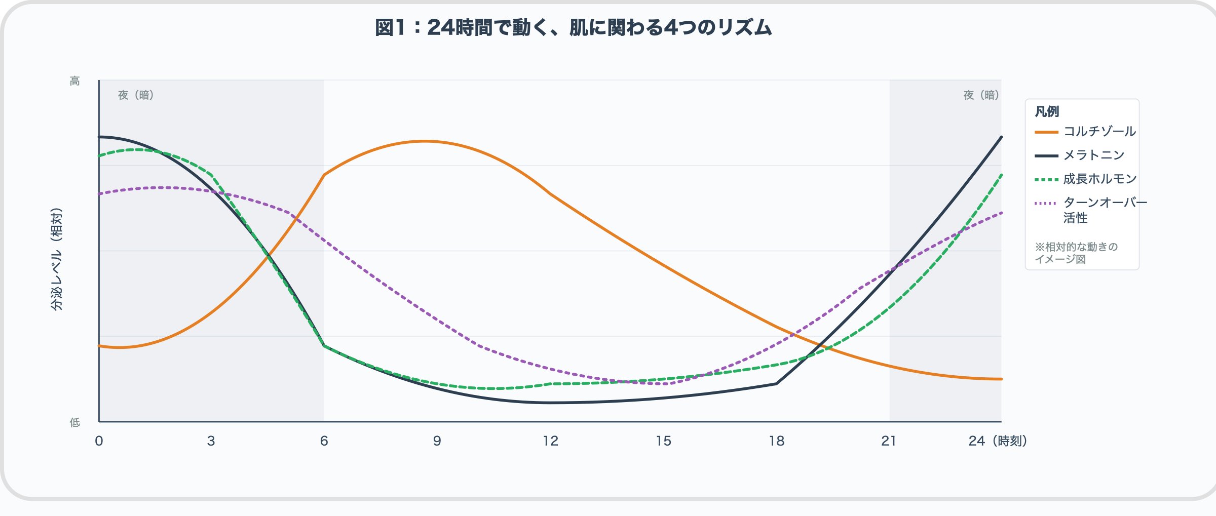 24時間の概日リズム — 4つのリズム