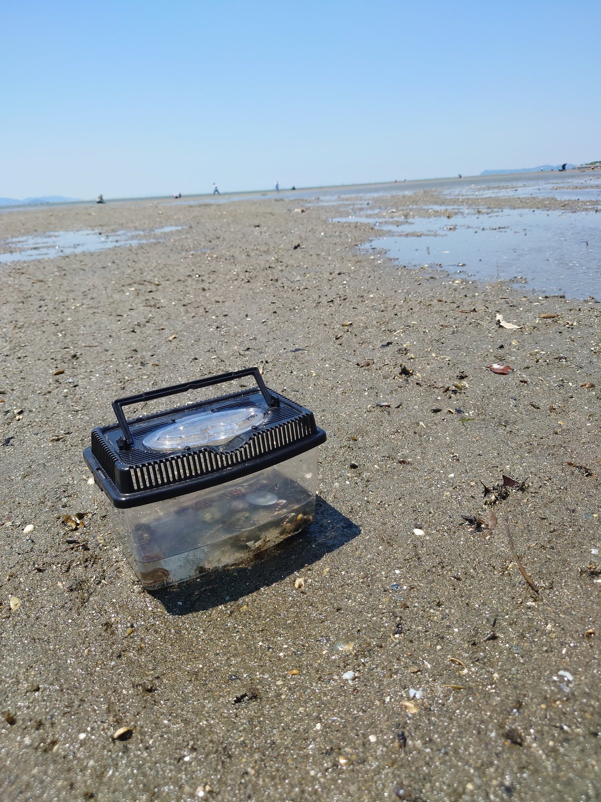 砂浜に置かれた潮干狩り用のカゴ