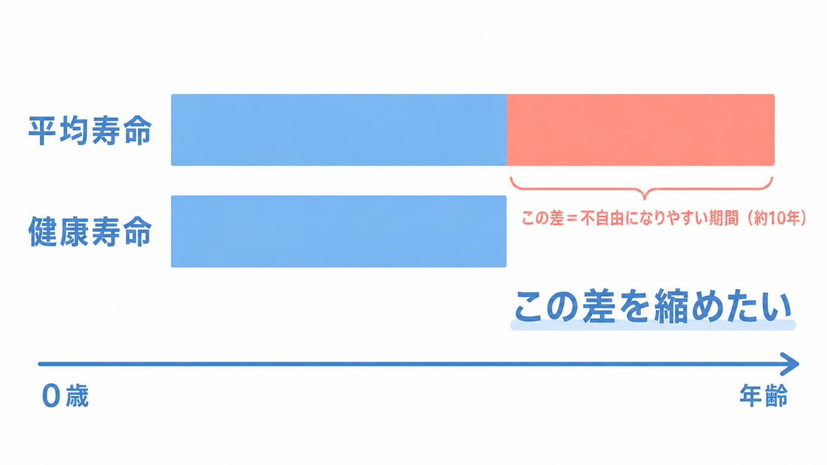 平均寿命と健康寿命の差を示す図解。平均寿命の方が長く、その差(約10年)が不自由になりやすい期間